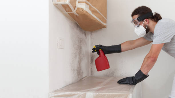 Professional Bathroom Mold Removal technician working in Lancaster, VA