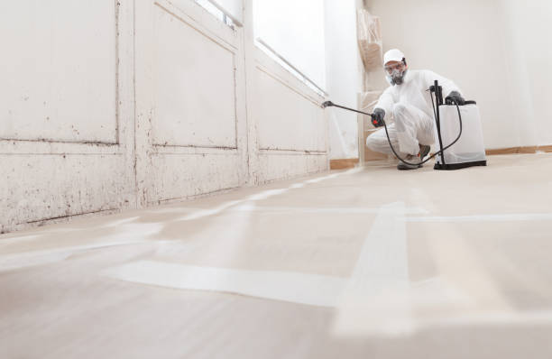 24/7 Emergency Bathroom Mold Removal experts in Lancaster, VA