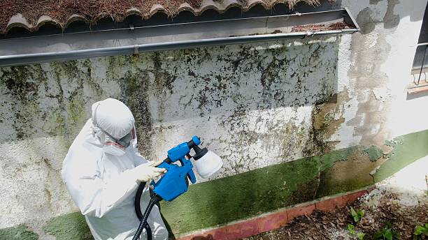Top rated local Bathroom Mold Removal specialists in Lancaster, VA